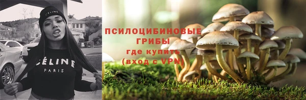 индика Абаза