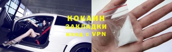 индика Абаза