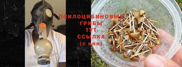 индика Абаза