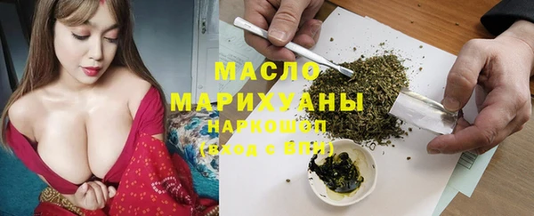 индика Абаза