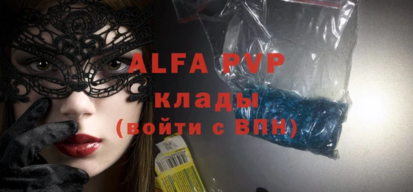 индика Абаза