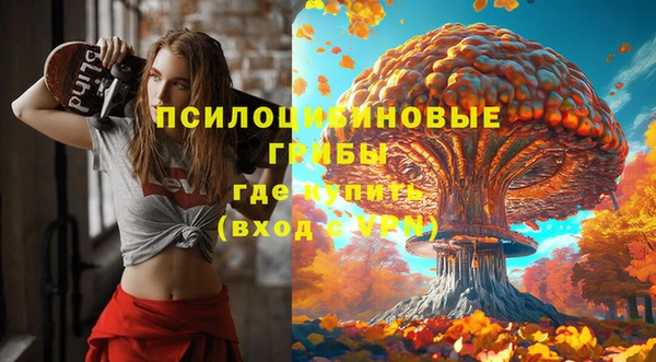 индика Абаза