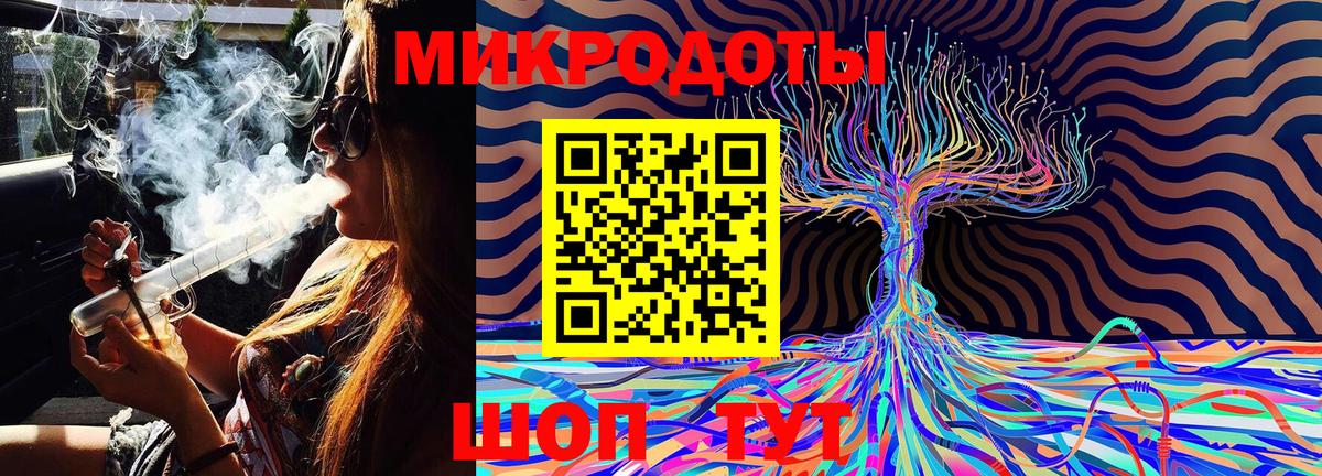 Галлюциногенные грибы Psilocybe Южноуральск