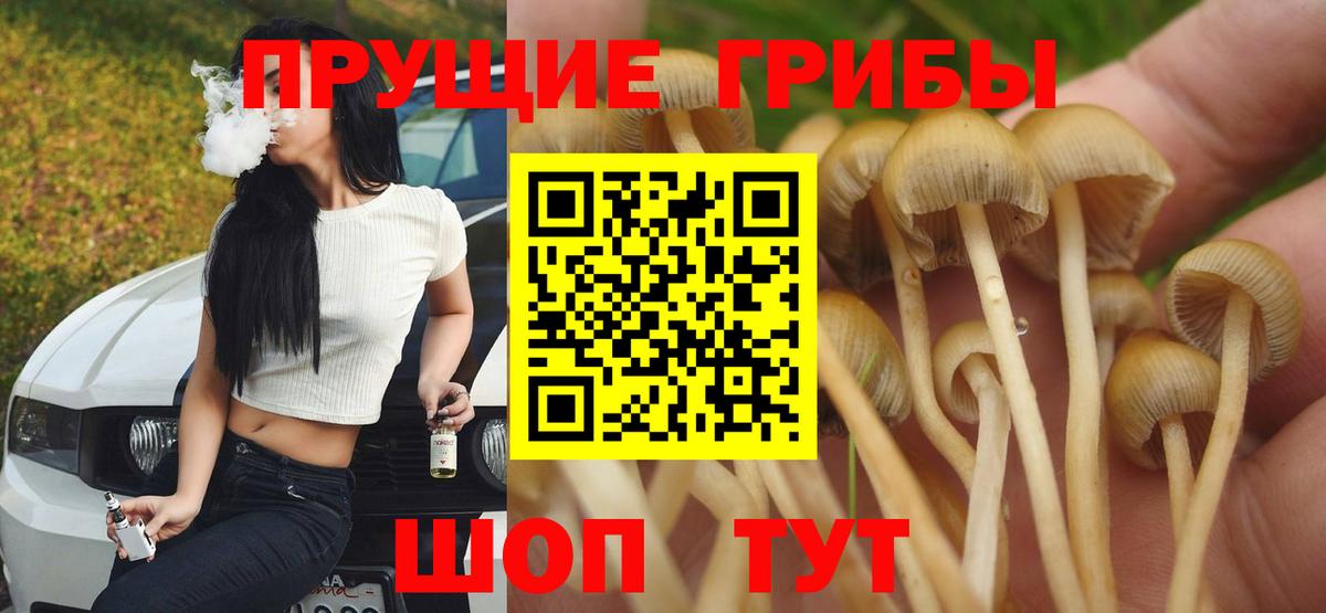 Псилоцибиновые грибы Magic Shrooms  Вход с VPN  Южноуральск  Псилоцибиновые грибы GOLDEN TEACHER 